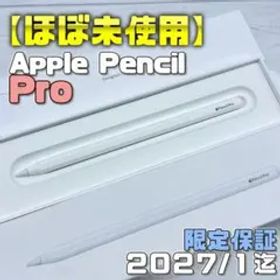 保証あり【ほぼ未使用】Apple Pencil Pro 本体＋箱類