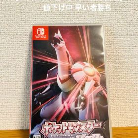 Nintendo Switch ポケットモンスター シャイニングパール ソフト