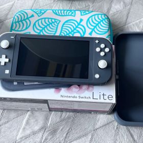 美品！動確済Nintendo Switch Lite グレー