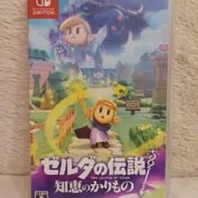 ゼルダの伝説 知恵のかりもの Nintendo Switch