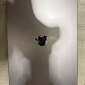 MacBook Pro 16インチ M1 Pro 16GB/512GB