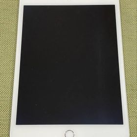 iPad mini 4 Wi-Fi+Cellular 16GB