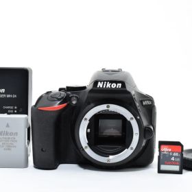 ★ショット数: 13090回★ NIKON D5500 ボディ #1116