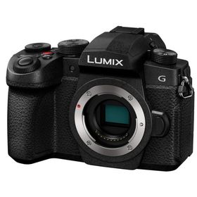 Panasonic パナソニック DC-G99M2 ブラック LUMIX G99II デジタル一眼カメラ ボディ ミックス