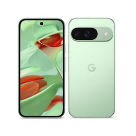 【Bランク・本体のみ】Google Pixel 9 128GB SIMフリー Wintergreen 【日曜日以外即日発送】【送料無料】