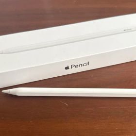 ジャンク品 Apple Pencil第2世代 アップルペンシル 充電不可