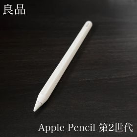 良品 正常動作確認 Apple Pencil 第2世代 MU8F2J/A r5