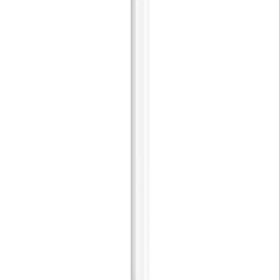 【純正品】Apple Pencil 第2世代