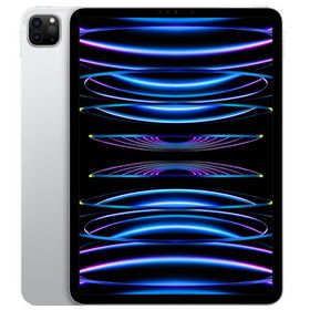 Apple iPad Pro 11インチ 第4世代 Wi-Fi 2TB 2022年秋モデル