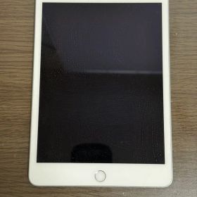 iPad mini第5世代本体とおまけ付き