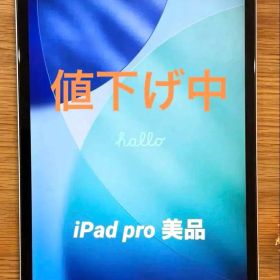 iPad pro 11インチ Wi-Fi + Cellular