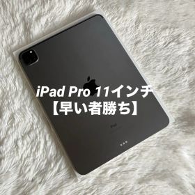 【早い者勝ち】iPad Pro 11インチ 第2世代 256GB 【すぐ発送】