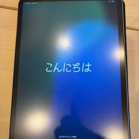 iPadPro11 第2世代 256GB WiFi