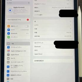 iPad Pro 第4世代 11インチ 256GB美品 電池98％
