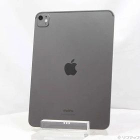 ソフマップ 〔中古品〕 iPad Pro 11インチ 第5世代 標準ガラス 256GB スペースブラック 3M772J／A Wi-Fi【349】
