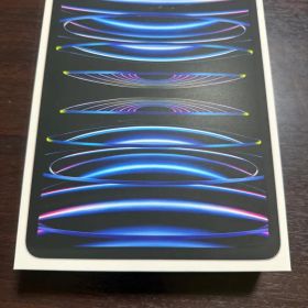 iPadpro 11インチ M2 セルラーモデル256GB シルバー おまけあり