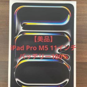 【美品】iPad Pro M5 11インチ 256GB 本体