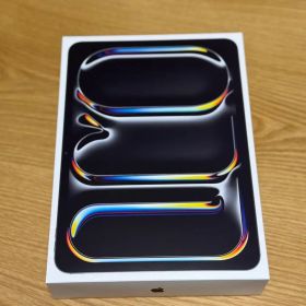 Ipad pro 11インチ m5 256gb スペースブラック