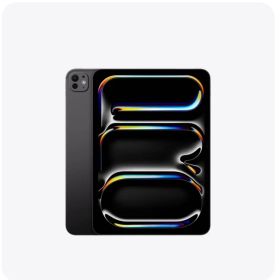 【美品】Apple iPad Pro （M5）11インチ256GB Wi-Fi