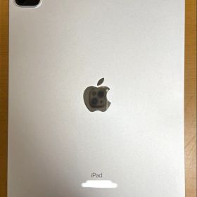 iPad Pro 11インチ（第2世代）2020年モデル 本体 ⚠️ジャンク品