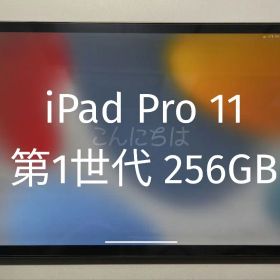 iPad Pro 11インチ 256GB Wi-Fi + Cellularモデル