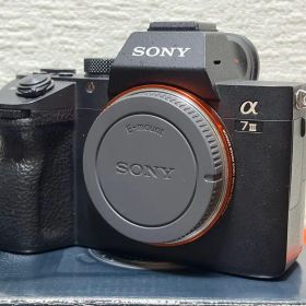 SONY α7 III ボディ ミラーレス一眼カメラ【ILCE-7M3】