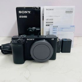 SONY α6400 ILCE-6400 ショット数2.358回 WW8060