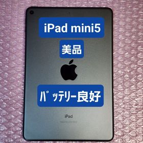 アイパッド(iPad)の美品 Apple iPad mini 第5世代 バッテリー良好 Wi-Fiモデル(タブレット)