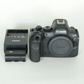 [良品 | シャッター数66,460回] Canon EOS R6 Mark II [ボディ] | Canon RFマウント