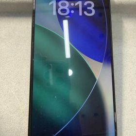 iPhone 16 Pro 256GB 初期化済 AppleStore版 ブラックチタニウム 本体のみ バッテリー83%