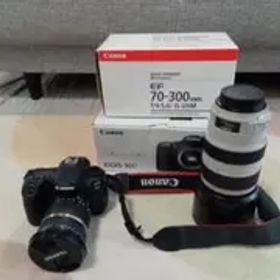 EOS 90D EF70-300mm F4-5.6L IS USM セット