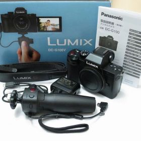 パナソニック Panasonic ミラーレス一眼 DC-G100V 【中古】