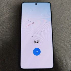 oppo find x8 pro グローバル版