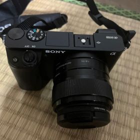 SONY α6000 ミラーレスカメラ E35mm F1.8 OSSレンズ付き