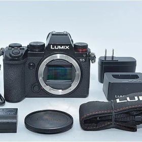 638★良品・ショット数39813回★パナソニック(Panasonic) ルミックス S5 ボディ 小型 軽量モデル ブラック DC-S5-K