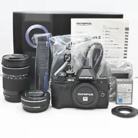 ショット数『1610』OLYMPUS ミラーレス一眼 OM-D E-M10 MarkIII EZダブルズームキット ブラック