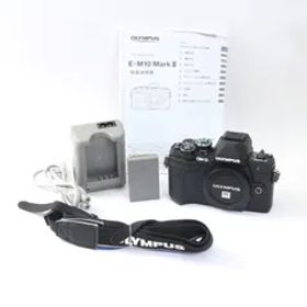 【シャッター回数6900回】 OLYMPUS オリンパス OM-D E-M10 Mark III ブラック