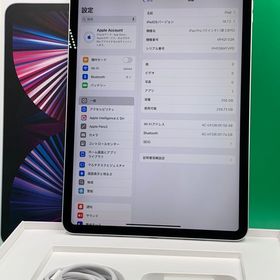 ★美品 iPad Pro 11インチ 第3世代 Wi-Fi 256GB シルバー 最大容量86%