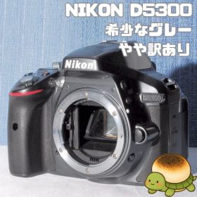 D5300 訳あり品！ ✨ボディー傷少なく美品です✨ レアカラー ＡＦ動作不良