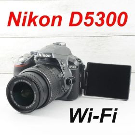 ❤️希少グレー❤️WI-Fi &自撮り❤️Nikon D5300