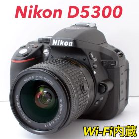 S数約700回！Nikon D5300★AF-Pレンズ★Wi-Fi内蔵