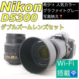 美品❤️ ショット数994回 ✨Nikon D5300 希少✨Wi-Fi搭載