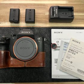 SONY α7Ⅱ ILCE-7M2 アンカーリンクス 予備電池 レザーケース