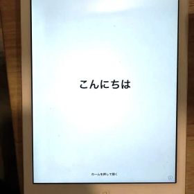 iPad Air 第1世代（2014）Wifi 16GBシルバー 本体