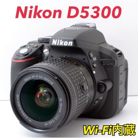 ニコン(Nikon)のS数約700回！Nikon D5300★AF-Pレンズ★Wi-Fi内蔵(デジタル一眼)