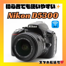 ニコン(Nikon)の❤️簡単操作❤️Nikon D5300❤️手振れ補正レンズ❤️(デジタル一眼)
