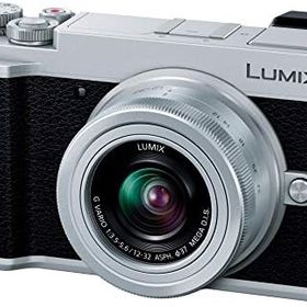 【中古】パナソニック ミラーレス一眼カメラ ルミックス GX7MK3 標準ズームレンズキット シルバー DC-GX7MK3K-S