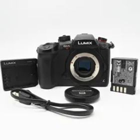 パナソニック ミラーレス一眼カメラ ルミックス GH5S ボディ ブラック DC-GH5S-K