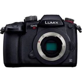 パナソニック Panasonic GH5S ボディ ブラック DC-GH5S-K SDカード付き