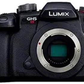【中古】(非常に良い)パナソニック ミラーレス一眼カメラ ルミックス GH5S ボディ ブラック DC-GH5S-K